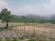 Cantalupo Ligure 08.06.2025 17:04
