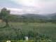 Cantalupo Ligure 06.07.2025 17:04