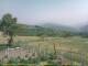 Cantalupo Ligure 14.06.2025 17:04
