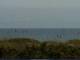 Cape Canaveral, Florida 08.07.2025 17:47