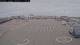 Norddeich 11.07.2025 17:05