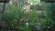 Nakhon Ratchasima (Korat) 23.05.2025 17:47