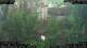 Nakhon Ratchasima (Korat) 10.05.2025 17:47