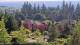 Bellevue, Washington 08.06.2025 17:26