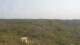 Moliets-et-Maa 09.06.2025 17:06