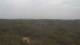 Moliets-et-Maa 29.04.2025 17:06