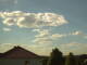 Billigheim-Allfeld 11.05.2025 17:47