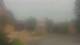 Madison, Tennessee 08.06.2025 17:31