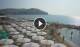 Agropoli 14.06.2025 17:08