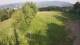 Laskowa 14.06.2025 17:09