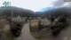 Reichraming 11.07.2025 17:09