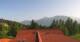 Mösern 08.06.2025 17:10