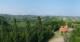 Glanz an der Weinstraße 08.06.2025 17:10