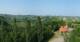 Glanz an der Weinstraße 08.06.2025 17:10