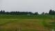 Zieleniec 08.06.2025 17:10