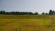 Zieleniec 14.06.2025 17:10