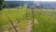 Zieleniec 14.06.2025 17:10