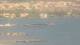 Balaruc-les-Bains 01.07.2025 17:10