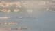 Balaruc-les-Bains 08.06.2025 17:11