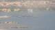 Balaruc-les-Bains 14.06.2025 17:10