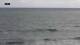 São Pedro do Estoril 29.04.2025 17:08