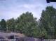 Julianadorp 05.07.2025 17:11