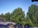 Julianadorp 29.04.2025 17:11