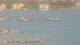 Balaruc-les-Bains 30.04.2025 17:11