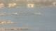 Balaruc-les-Bains 03.07.2025 17:11