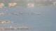 Balaruc-les-Bains 14.06.2025 17:11