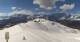 Chamois 30.04.2025 17:12