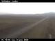 Víðidalur 14.06.2025 17:12
