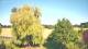 Mandelsloh 11.06.2025 17:12