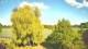 Mandelsloh 17.04.2025 17:12