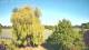 Mandelsloh 10.05.2025 17:12