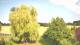Mandelsloh 14.06.2025 17:12