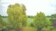 Mandelsloh 29.04.2025 17:12