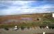 Wolfville 24.03.2025 17:13
