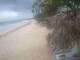 Punta Cana 08.06.2025 17:13