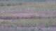 Les Landes-Genusson 09.06.2025 17:16