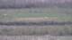 Les Landes-Genusson 08.05.2025 17:16