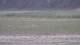 Les Landes-Genusson 16.03.2025 17:17