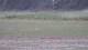 Les Landes-Genusson 11.05.2025 17:16