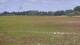 Les Landes-Genusson 14.07.2025 17:25