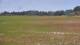 Les Landes-Genusson 05.07.2025 17:16