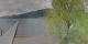 Annenheim 25.03.2025 17:59