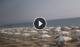 Paestum 14.06.2025 17:16