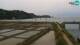 Piran 05.07.2025 17:17