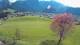 Abtenau 30.04.2025 17:17