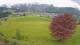 Abtenau 25.04.2025 17:17
